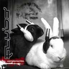 Fluido - 12 - transformar