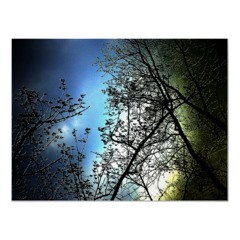 Daydreams