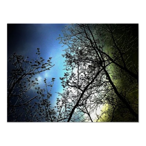 Daydreams