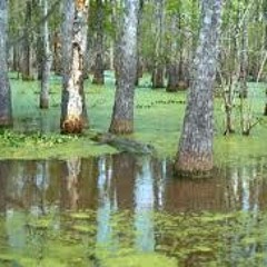 Inner Drive - Swamp / Vi Två Records