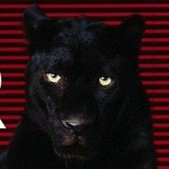 Disco Panther- Play 'There it is' (Smoke)