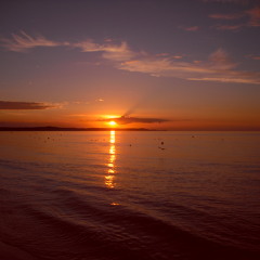 Timone - Kleines Debakel