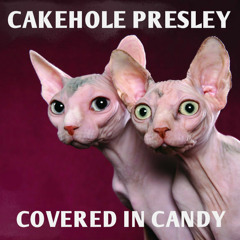 COVERED IN CANDY - Cakehole Presley ♪