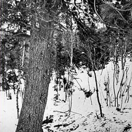 [dyatlov] Chernobyl Map II - Broadcast