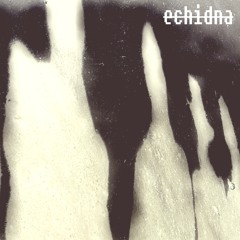 echidna - The Mad One DnB Mix Oct 2012