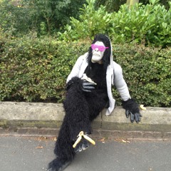 Gorilla Ice Demo Music