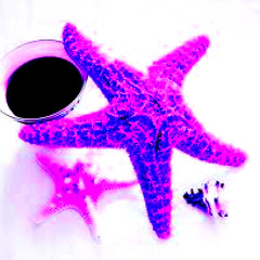 Starfish and Coffee