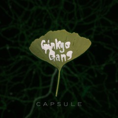 Capsule By Ginkgo Gang