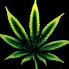 Smoke Joint