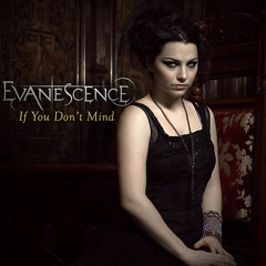 Evanescence - If You Don't Mind