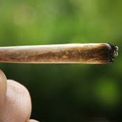 Groen Achter De Oren!