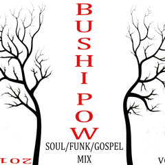 BUSHI POW soul/funk/gospel.