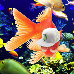 WORST EVER MIX  ☹ ☹ ☹ #SRY ✡ ✡ ✡