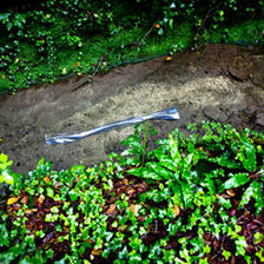 Rush feat. Marco Mazzei