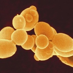 Fun Is Where You Find It