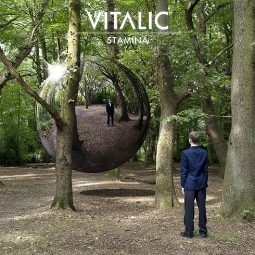 Vitalic - Stamina (Le Castle Vania Remix) *FREE DOWNLOAD*