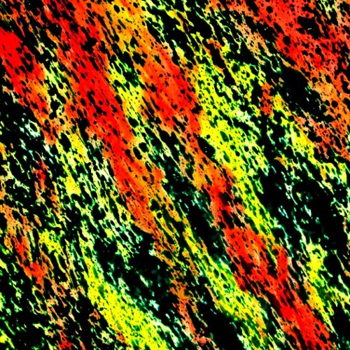 Sinister Meadow ... C.T.U