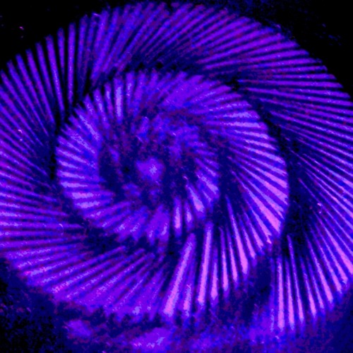 Glide Zone ...  C.T.U