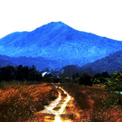 Topographic Lines  ...  C.T.U