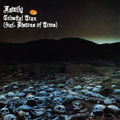 CELESTIAL TRAX - FAMILY (feat. Visions of Trees)