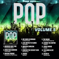 punk goes pop vol 8