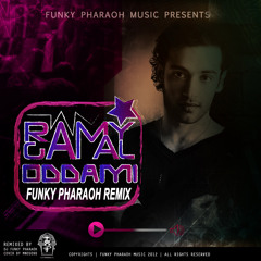 DJ Funky Pharaoh Vs Ramy Gamal - ODDAMI ( Hard House Remix )