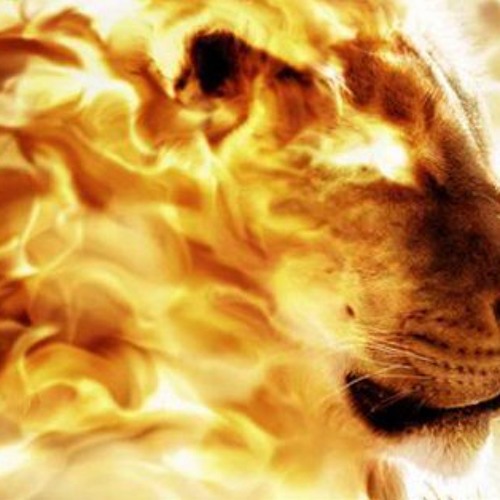 Dioxin One - Will Of Fire (Fish Finger Remix)
