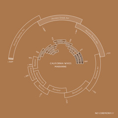California Wives -  Marianne (No Ceremony Remix)