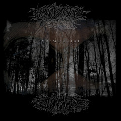 KOMBINAT][7526][TBRRRD - 10 - ECHOLALIA