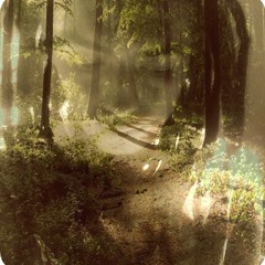 meditation in dub - selekta!