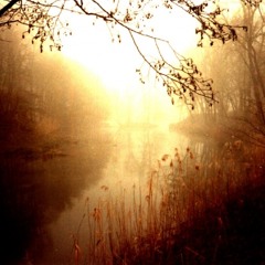 Lors de la vérité (Stéfania Amato)