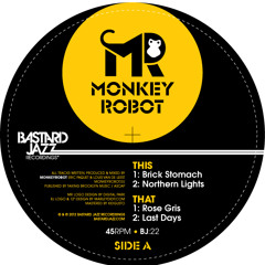 MonkeyRobot - Last Days