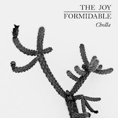 The Joy Formidable - Cholla (Betatraxx Remix)