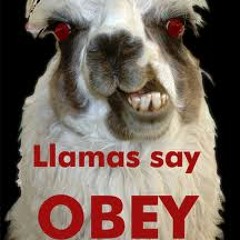 impostors??? [jeffrey llama is another alias btw] STMB battle #294