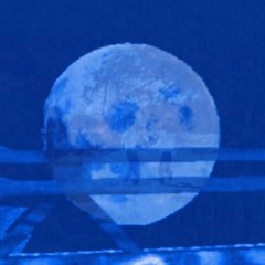 Coquelicot - Blue Moon