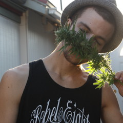 RUTHLESS SPECIMEN=Lucid Root X DeadHead
