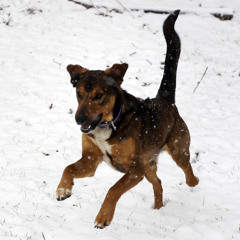 The Do Your Business Waltz