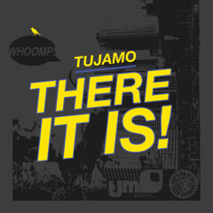 Tujamo - There It Is (Original)