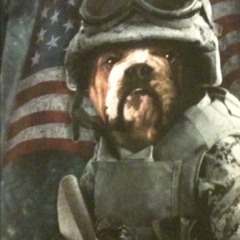 Snake Snacks, episode 5: Coleis Gunstrom at Lafayette, IN