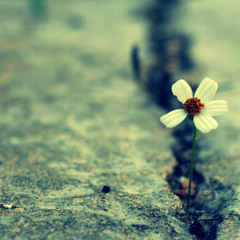 爱如潮水 【unplug版】(Cover by Shey Mei)