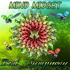 MindMidget - Beat Symphony