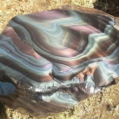 Piccolo volo tra i colori iridescenti