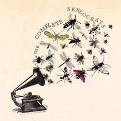 02 Bitten by the Bug