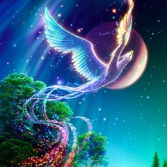 Soul Journey (short edit)