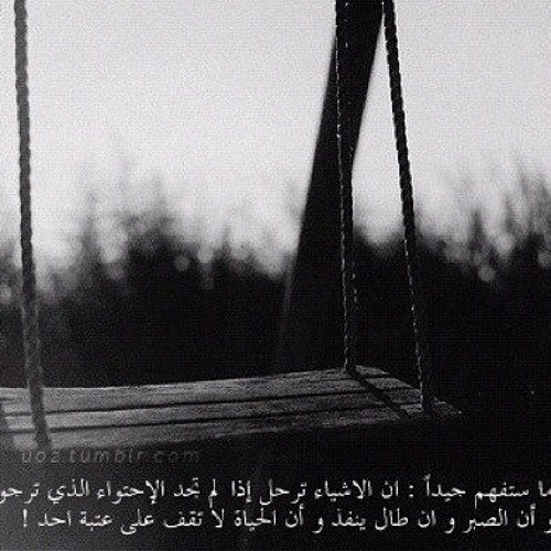 اين الصديق