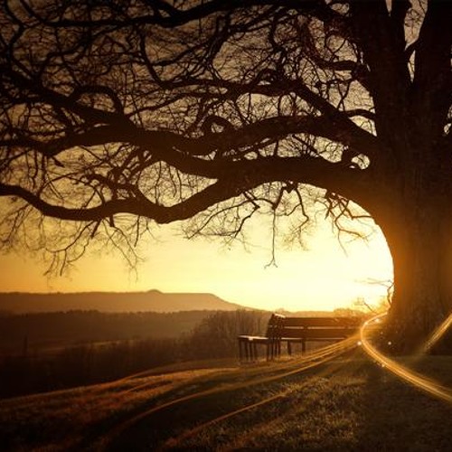 My Mistakes - 200€