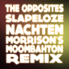 The opposites - Slapeloze nachten (Morrison's Moombahton Remix) PRESS BUY FOR FREE DOWNLOAD!