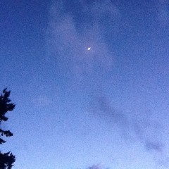 like a night of south winds