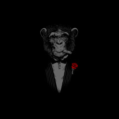 N.V. - Dido *Free DL*