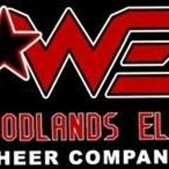 Woodlands Elite Colonels 12-13